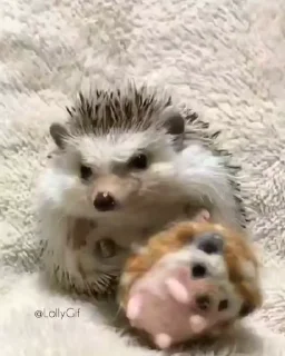 😡