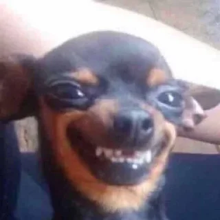 😬