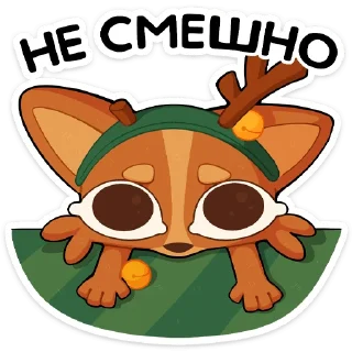 🌟