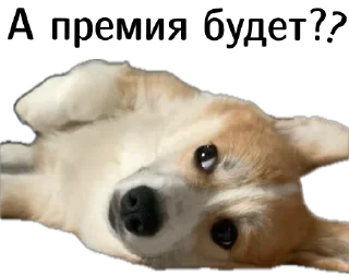 ❓