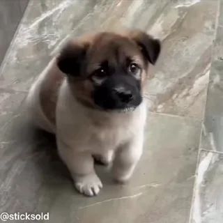 ❤️