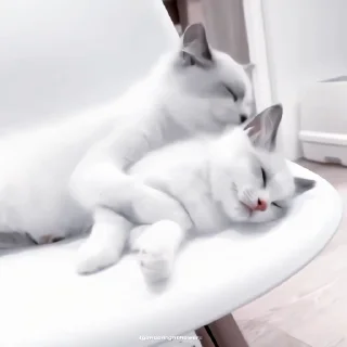 🍙