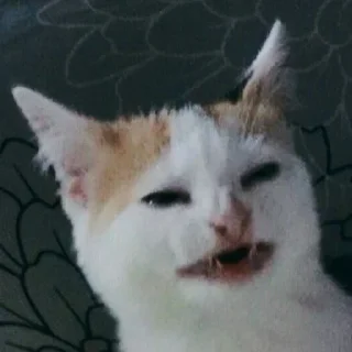 😬