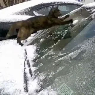 😺