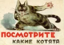 Замарашка и его друзья