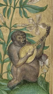 🎸
