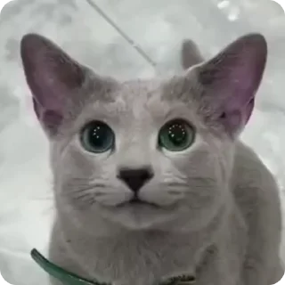 ☺️