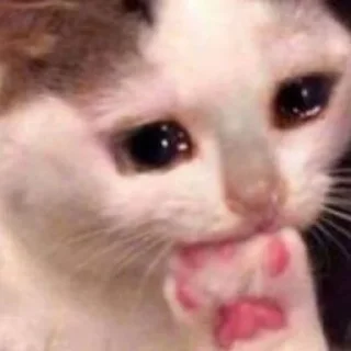 😭