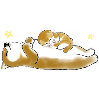 😴