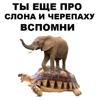 🐘
