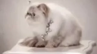 😤