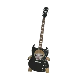 🎸