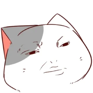 🐈