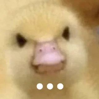 🤬