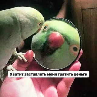 💵