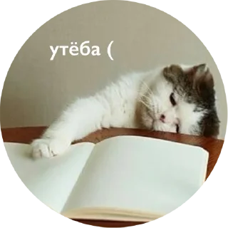 💩
