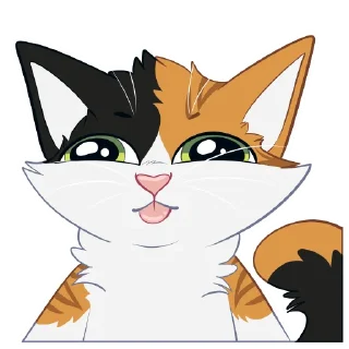 🐱