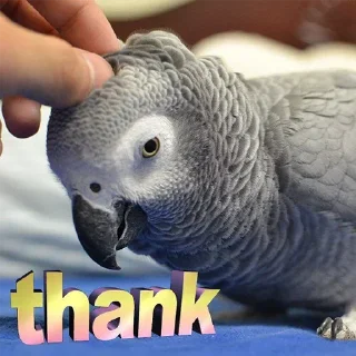 🙏