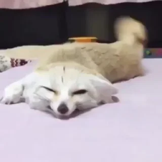 ☺️