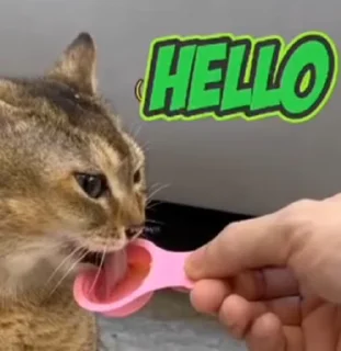 👋