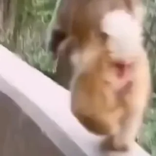 🤩