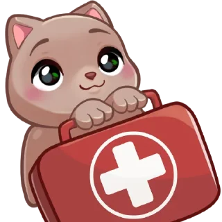 🧑‍⚕️