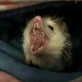 😫