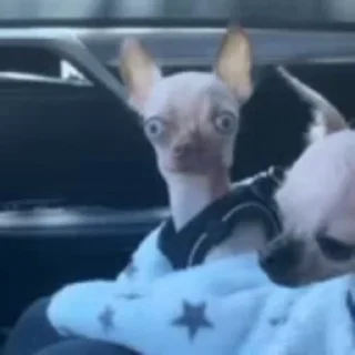 😳