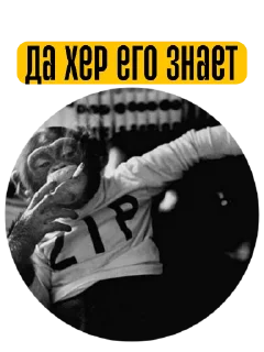 Круглый квадрат