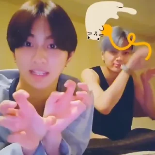 🐈‍⬛️