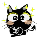 Black Cat @Amirul_zaimi