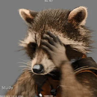 🦝
