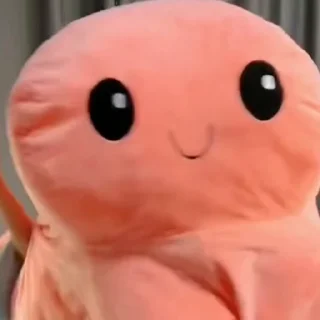 🐙