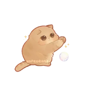 🌟