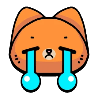 😿