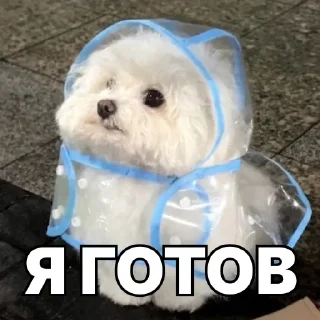 😎
