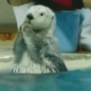 🤍