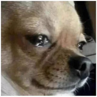😢