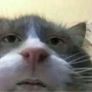 😕