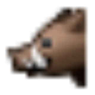 🐗