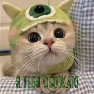 💚
