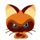 😠