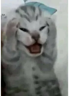 😱