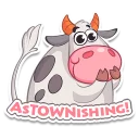 Township
