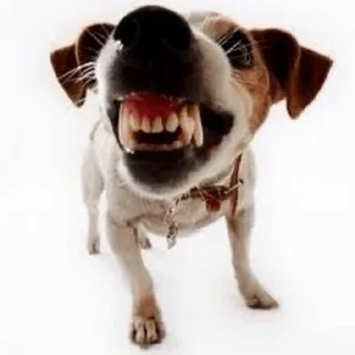 😑