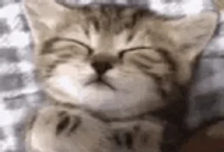 😴