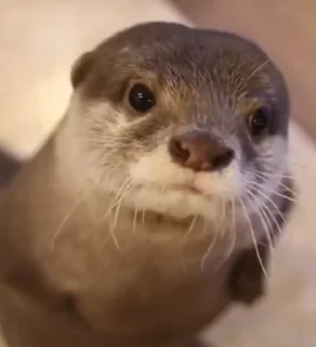 ☺️