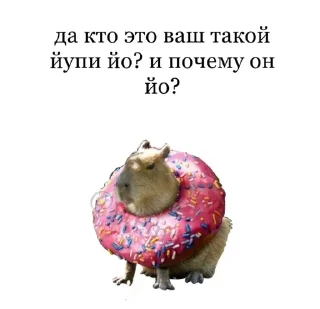 🤨
