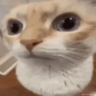😳