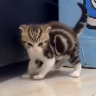 😡
